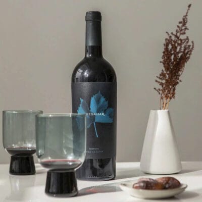Vang Vegamar Reserva