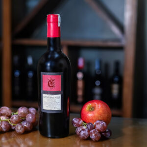 Vang Appassimento Negroamaro