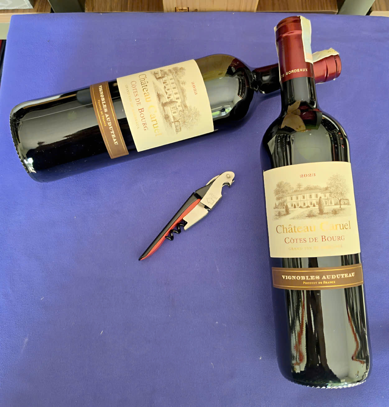 Châuteau Caruel Côtes de Bourg Bordeaux 4