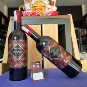 Chai rượu vang Ý Rodelia Appassimento Private Collection Puglia 750ml chính hãng tại 90WINE